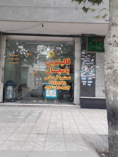 عکس قالیشویی پامچال