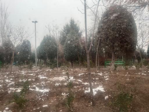 عکس بوستان سینا
