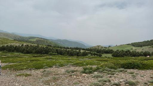 عکس شاهرود