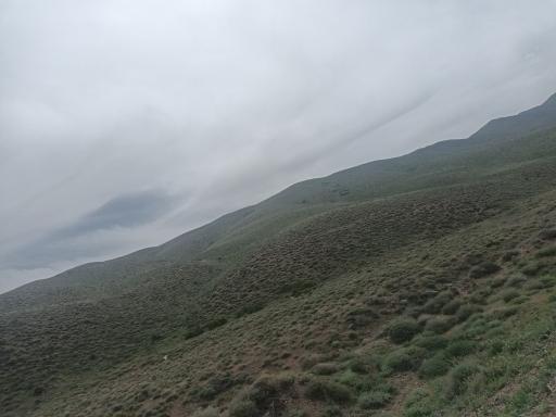 عکس شاهرود