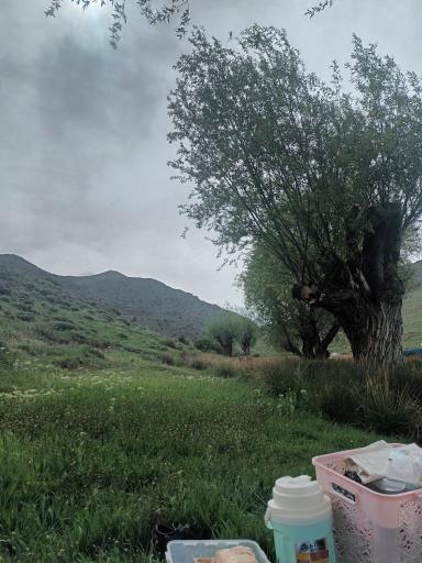 عکس شاهرود