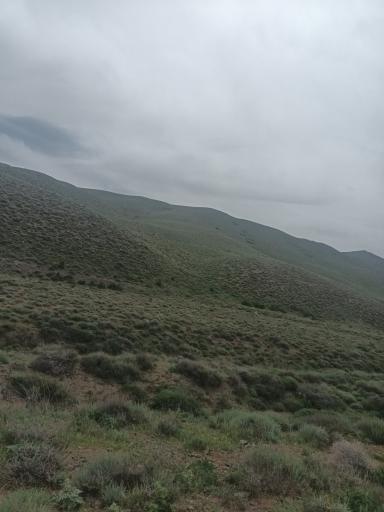 عکس شاهرود