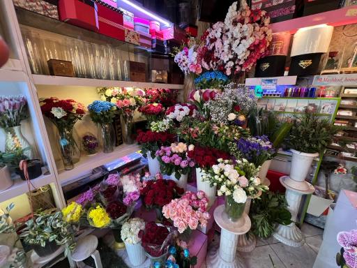عکس گلسرای همای دوستان