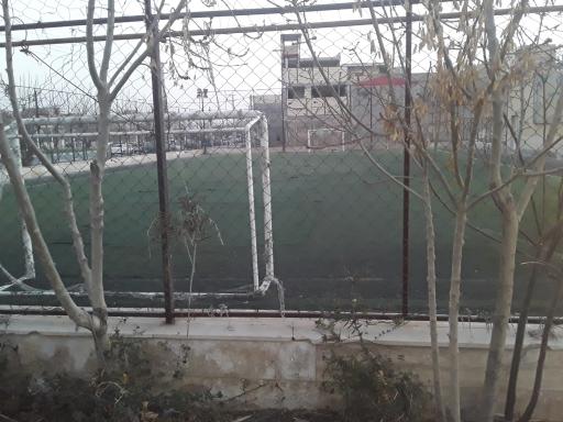 عکس زمین چمن