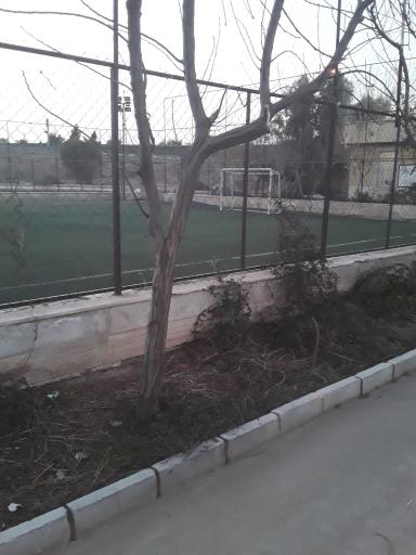 عکس زمین چمن