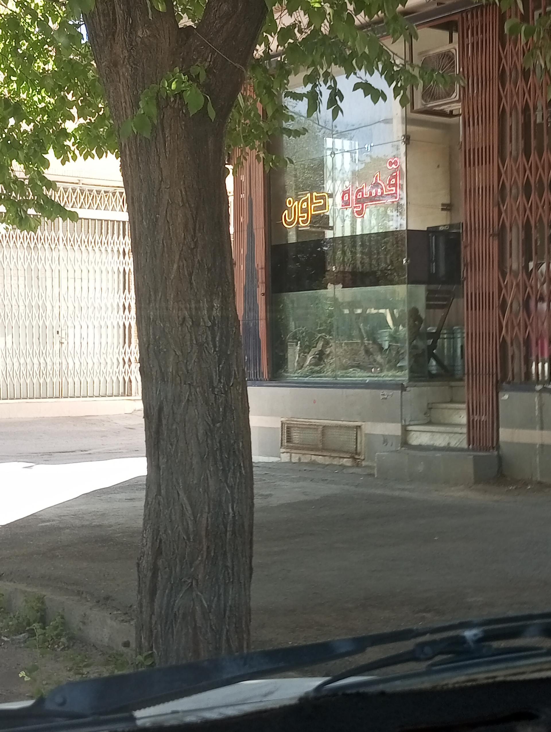 عکس قهوه دون