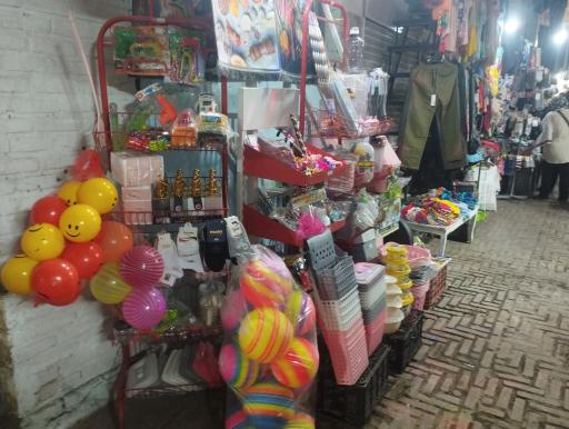 پلاسکو خانه ما