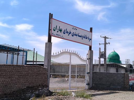عکس مسجد النبی