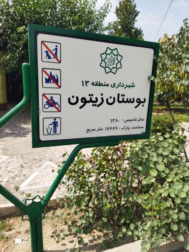 عکس پارک زیتون