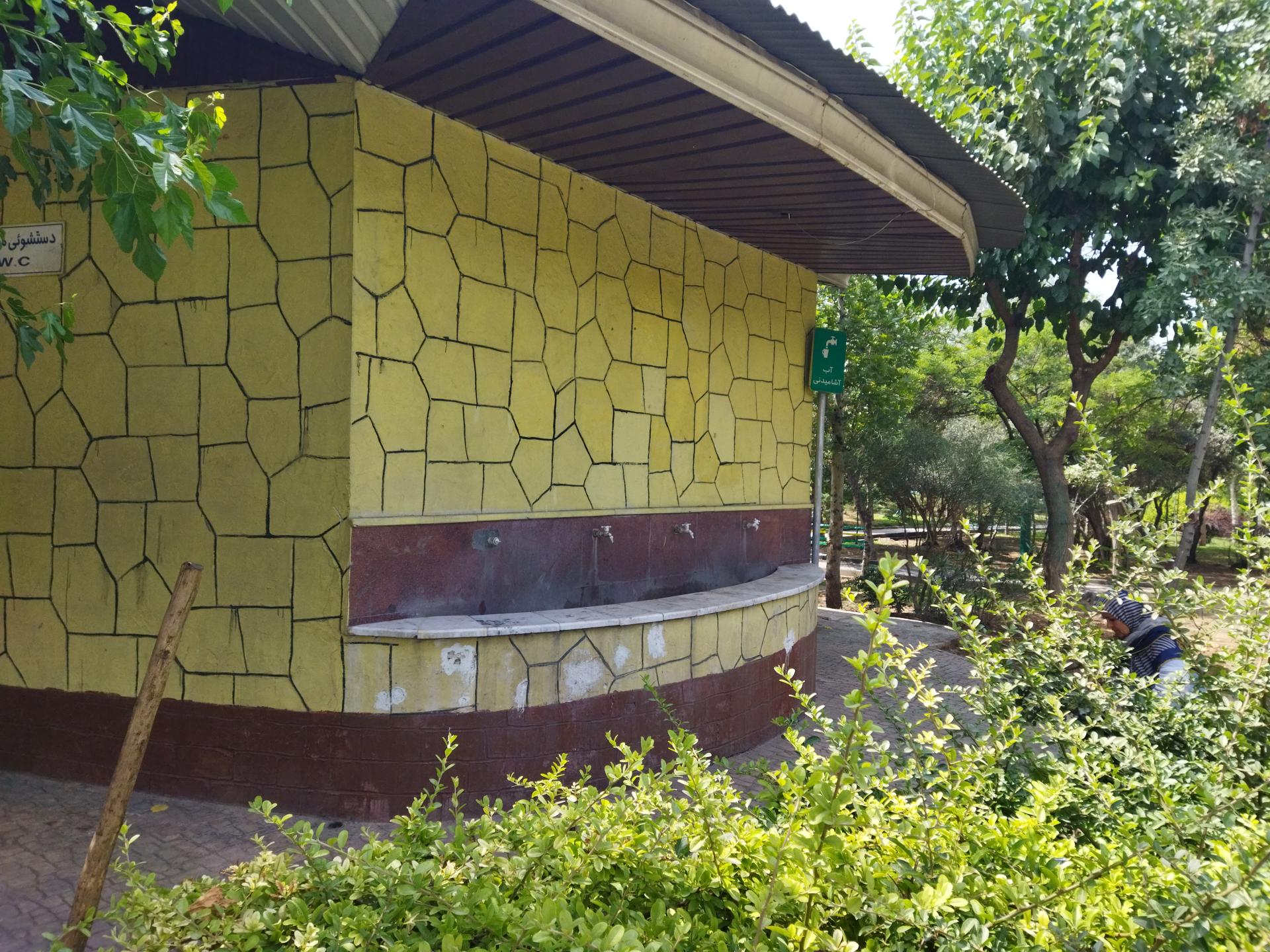 عکس پارک زیتون