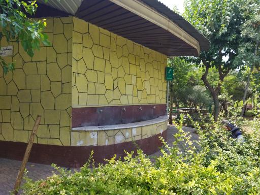 عکس پارک زیتون