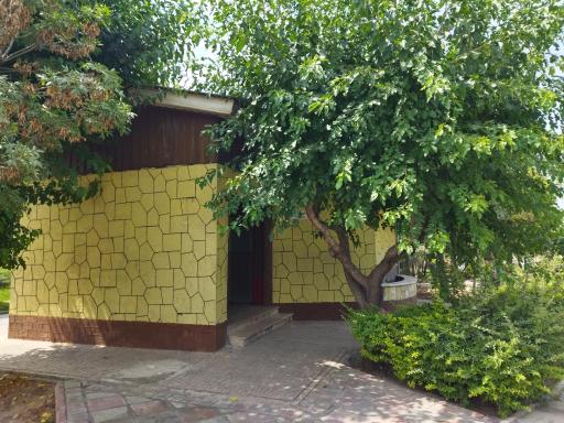 عکس پارک زیتون