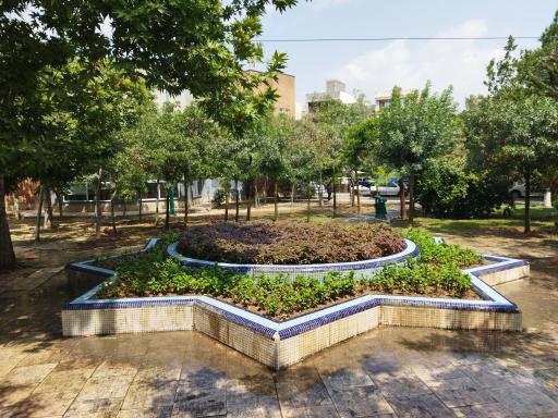 عکس پارک زیتون