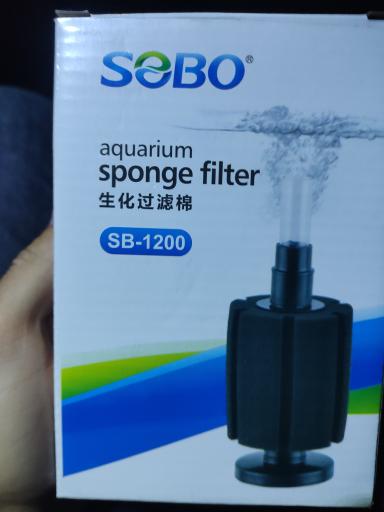 عکس فروشگاه آکواریوم اسکات