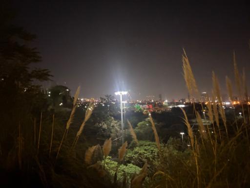 عکس بوستان نهج البلاغه فاز دو