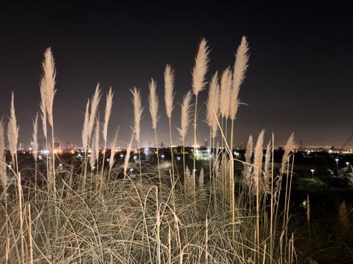 عکس بوستان نهج البلاغه فاز دو