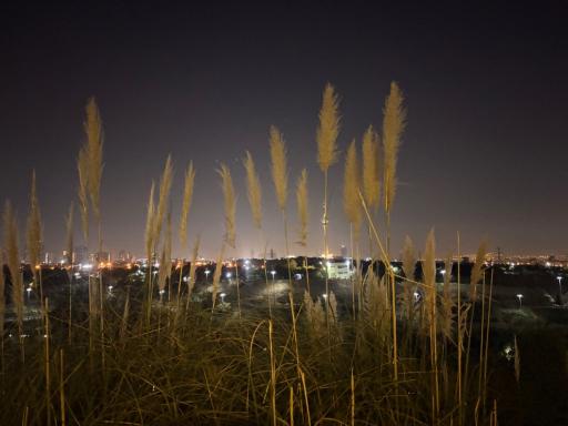 عکس بوستان نهج البلاغه فاز دو