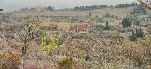 عکس بوستان نهج البلاغه فاز دو