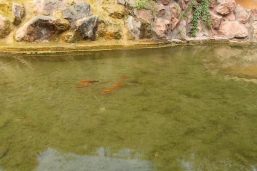 عکس بوستان نهج البلاغه فاز دو