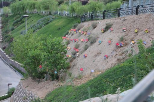 عکس بوستان نهج البلاغه فاز دو