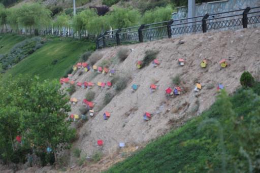 عکس بوستان نهج البلاغه فاز دو