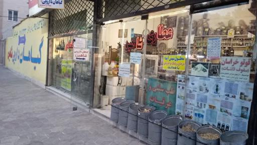 عکس گیاهان دارویی شاهین 
