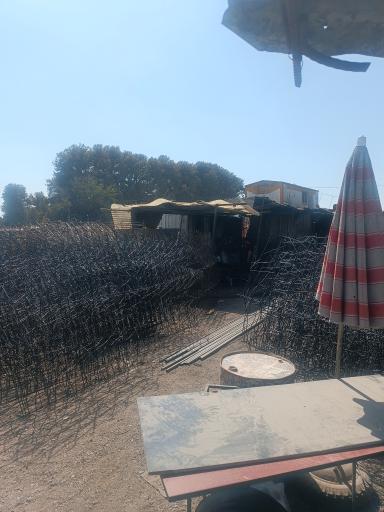 عکس شاخ گوزنی ولدی