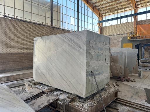 عکس سنگبری صدف