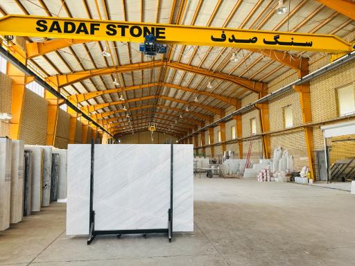 عکس سنگبری صدف