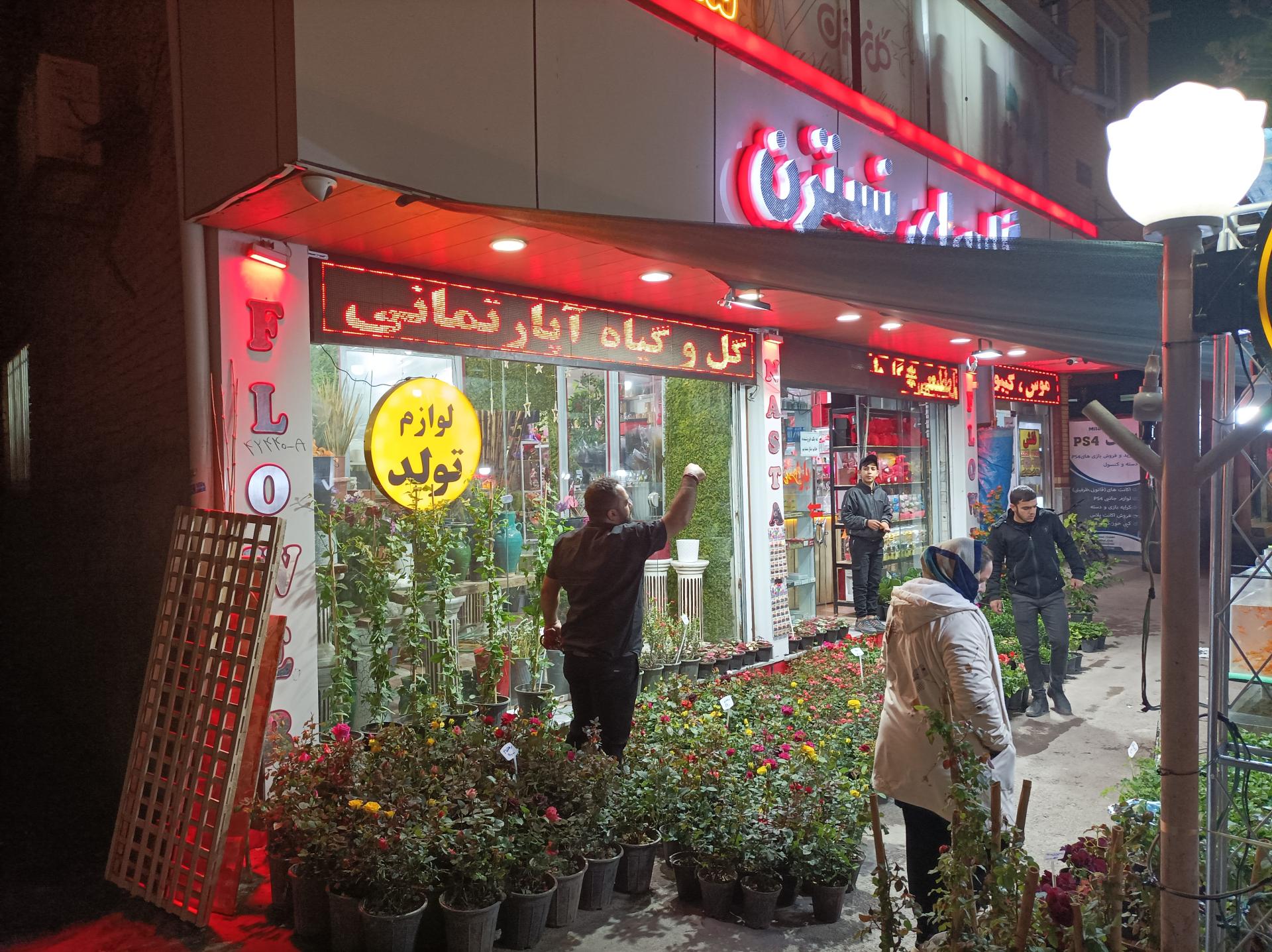 عکس گلسرای نسترن