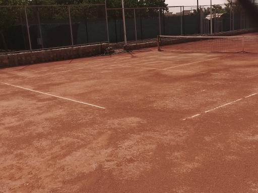 عکس آکادمی تنیس رضا حداد