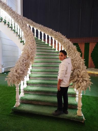 عکس تالار پذیرایی تحفه