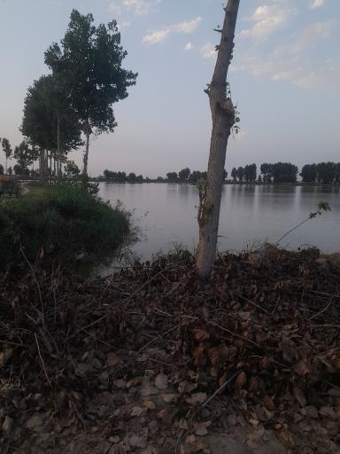 عکس آب بندان حاج سلیمان پورعلی