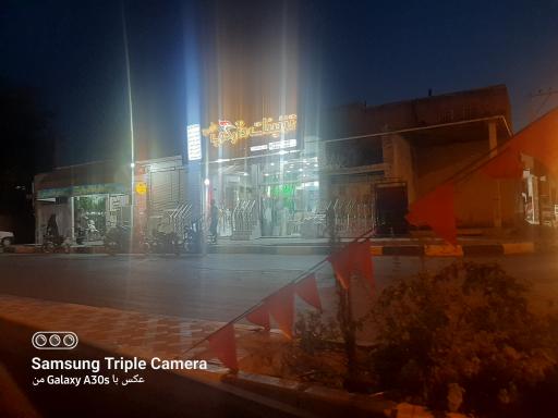 عکس تزئینات دارکوب