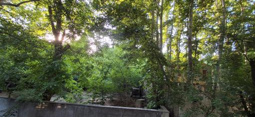 کوشک زر