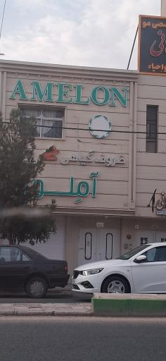 عکس ظروف گیاهی آم لون