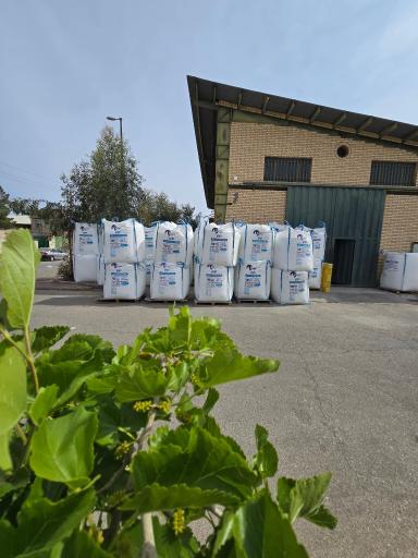 عکس سلفون فواد