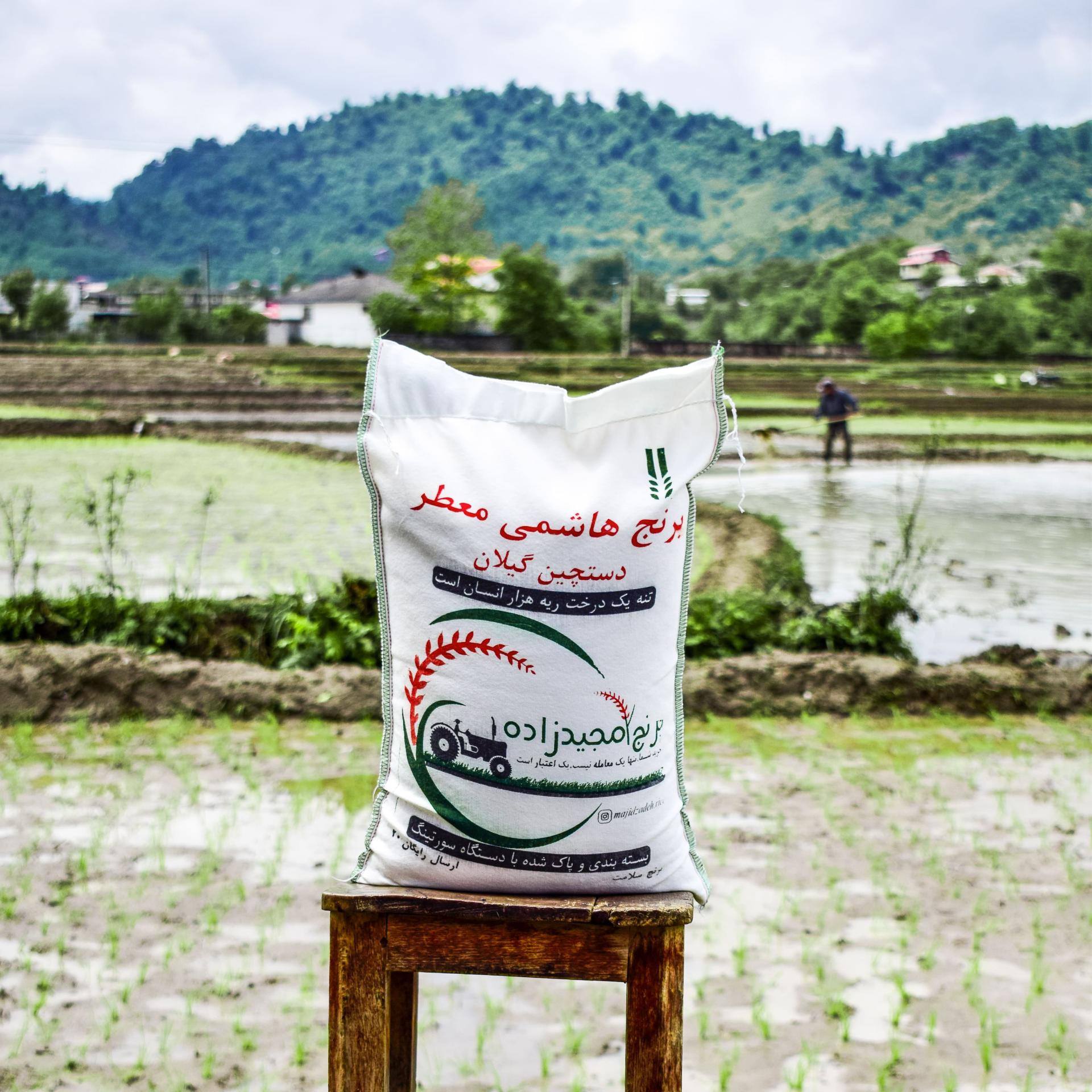 عکس بازرگانی برنج گیلان مجیدزاده