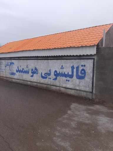 عکس قالیشویی