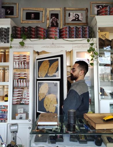 سیگار ارگانیک رشنو جناب توتون