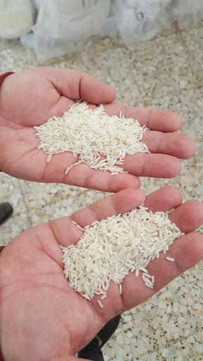 عکس بازرگانی برنج گیلان مجیدزاده