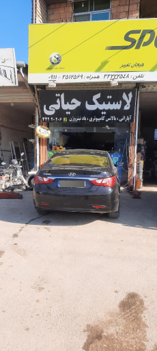 عکس لاستیک و تعویض روغن حیاتی