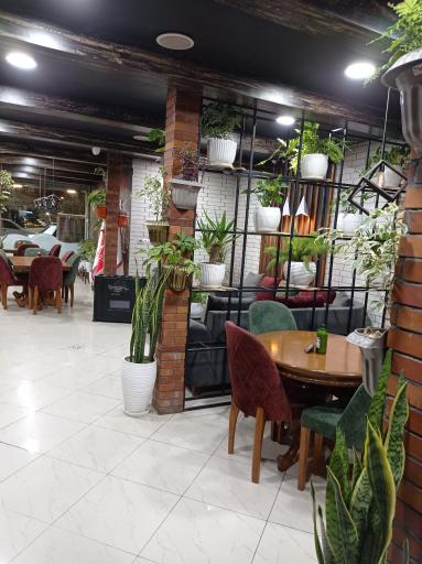 عکس فست فود مادر