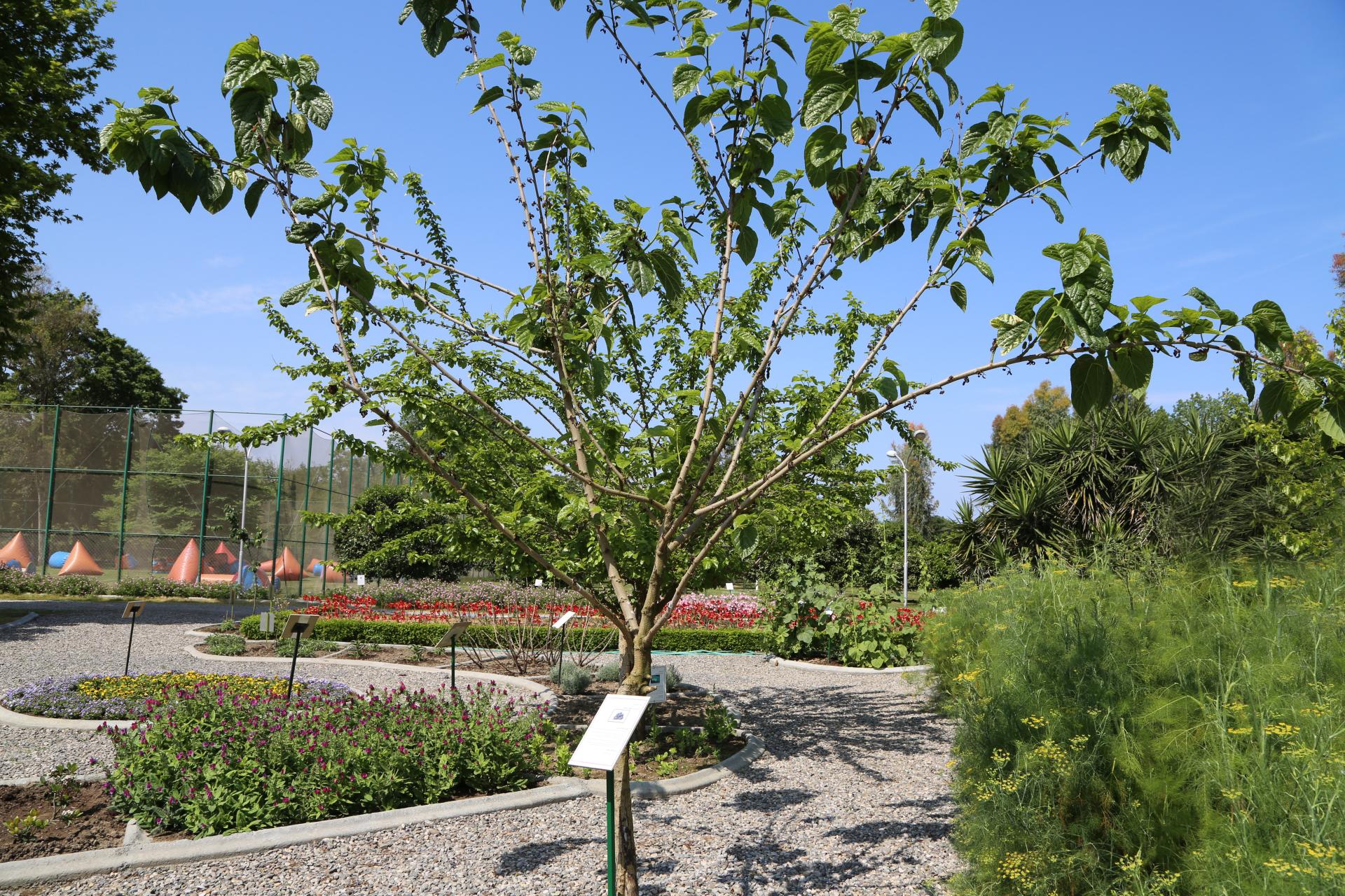 عکس گلخانه کاکتوس و گیاهان دارویی