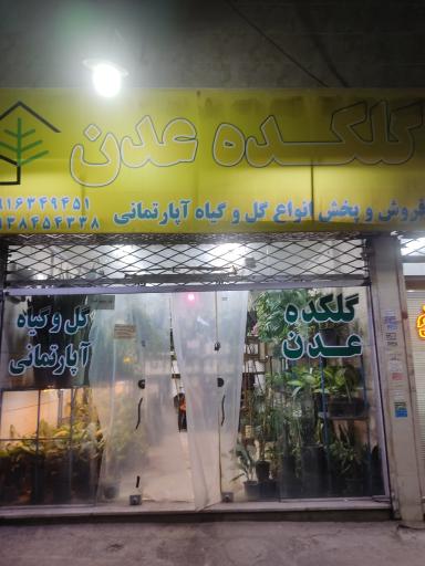 گلکده عدن 