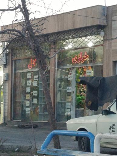 عکس خرازی گل 