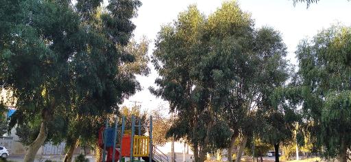 عکس بوستان سینا