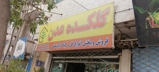 گلکده عدن 