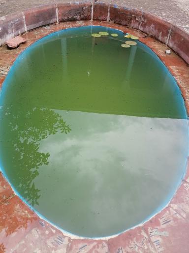 عکس خانه فرهنگ گیلان