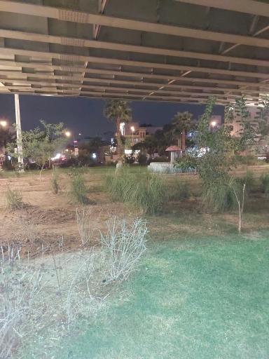 عکس میدان شقایق